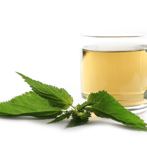 Cup of Nettle tea