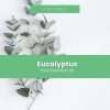 eucalyptus essential oil is made from leaves of plant, picture of them with text overlay