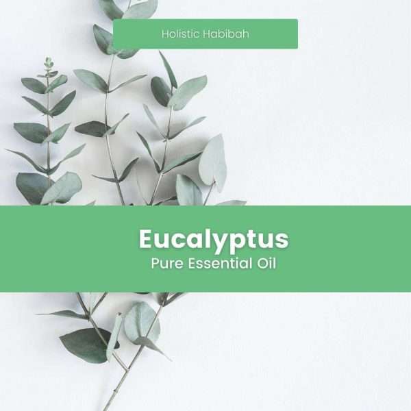 eucalyptus oil is made from leaves of plant